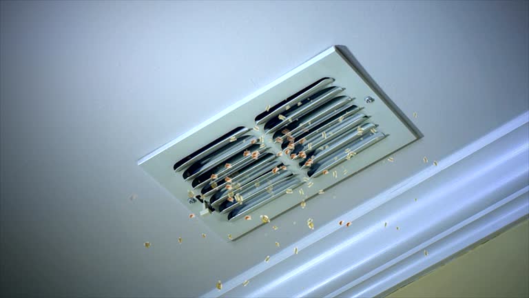 Best Residential Air Duct Cleaning  in Camilla, GA