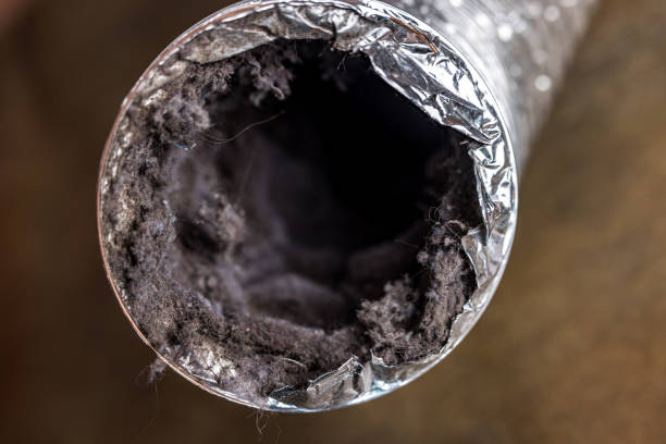 Best Air Duct Cleaning Near Me  in Camilla, GA