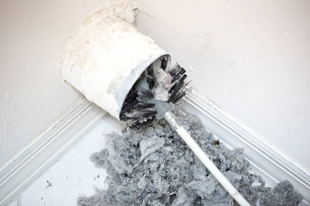 Best HVAC Duct Inspection Services  in Camilla, GA